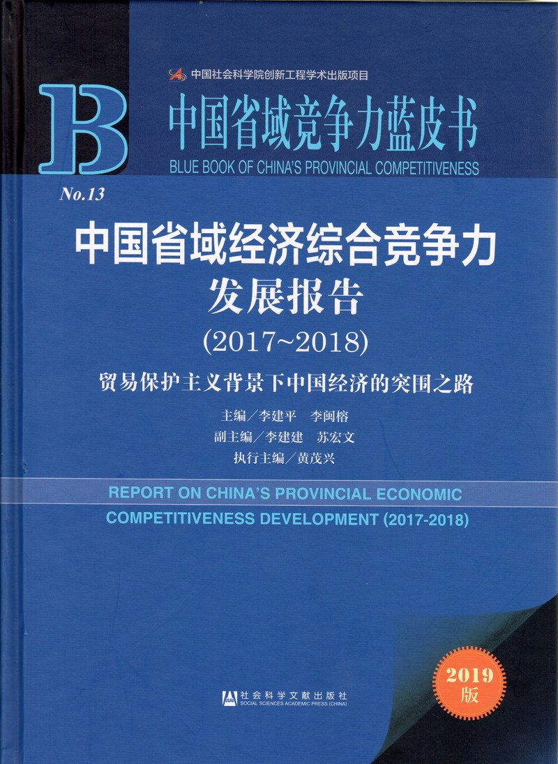 哥哥的屌好大好想要中国省域经济综合竞争力发展报告（2017-2018）